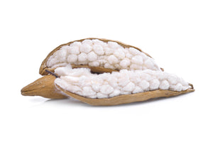 Kapok Versus Cotton: What Makes a Better Pillow?