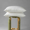 Feather Pillow - 2 Pack