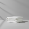 Bamboo Mattress Protector